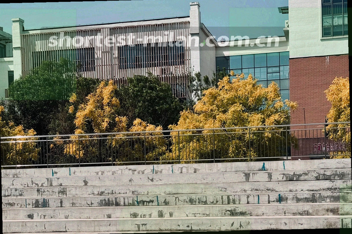 冷白纸张叠层与电光青数据流线条组成的抽象信息图，用来对照访问日志、联络信息与浏览器版本的处理路径